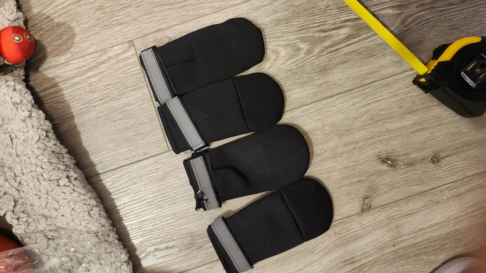 Dog Boots thumbnail