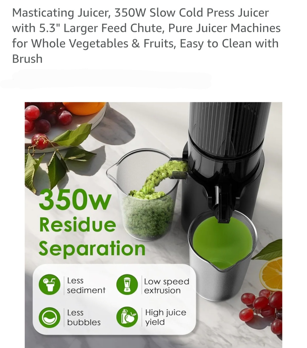 350W Slow Cold Press Juicer - photo 2