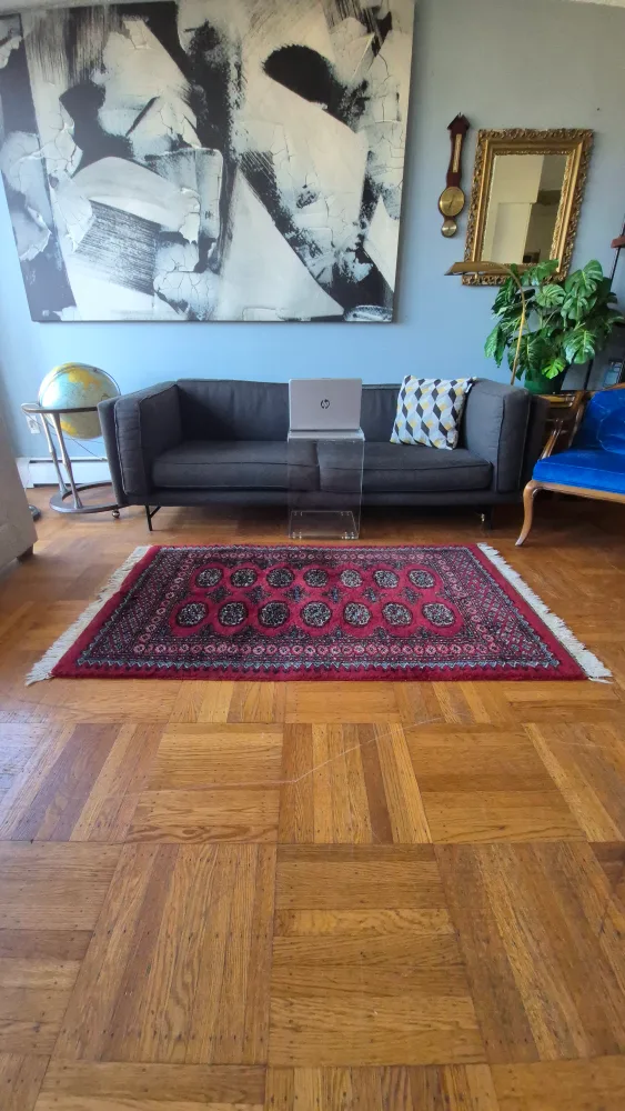Handwoven Pakistani Bokhara Rug thumbnail