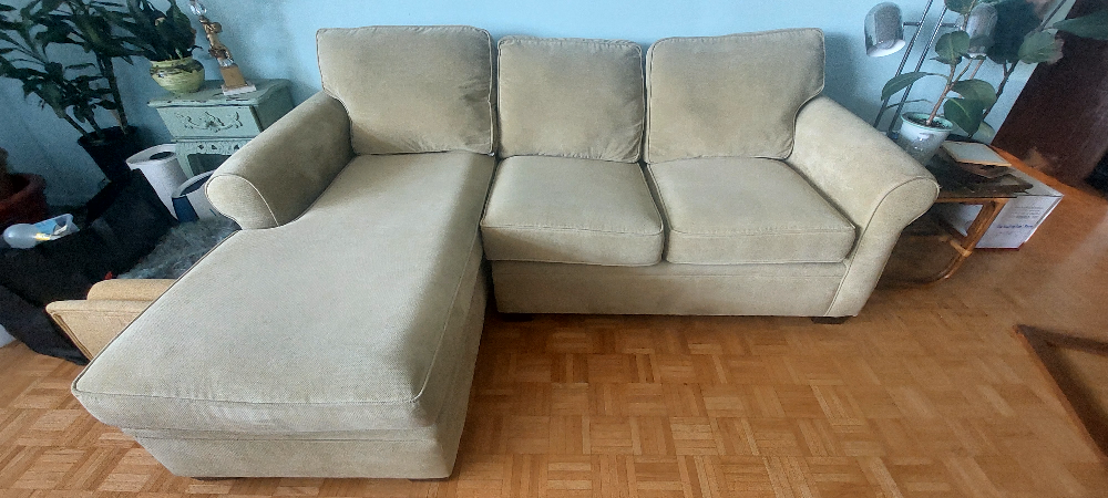 FREE Sofa - photo 3