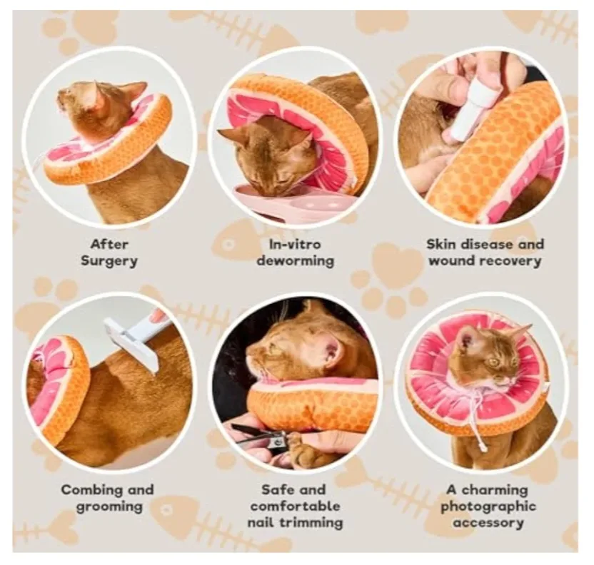 Recovery Collar - Size: [Neck:5-10"] Small image indicator(6)