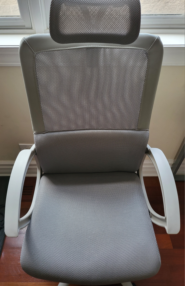 Ergonomic Office Chair with Headrest. Gray - photo 5