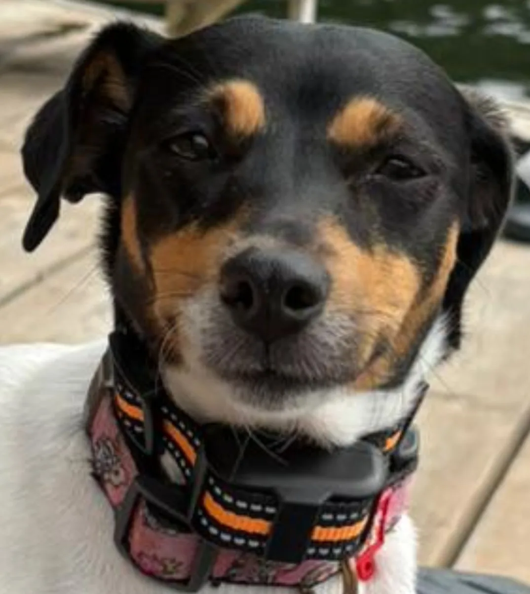 RelaxUs brand inversion table image indicator(5)