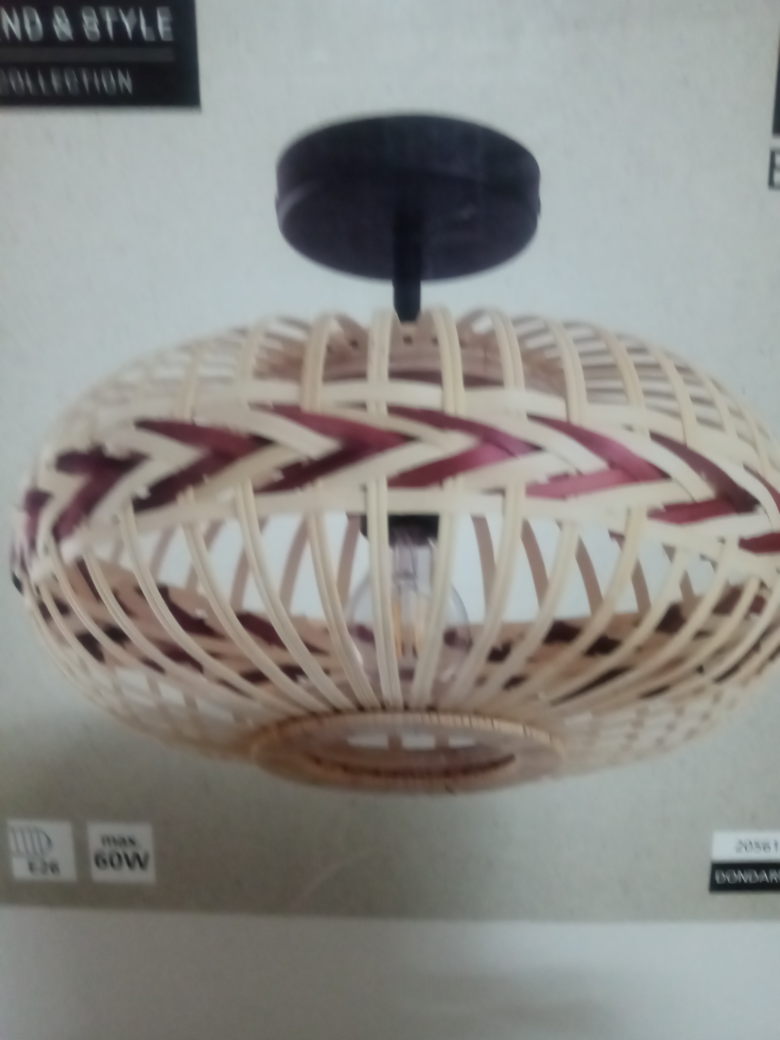 Trend & Style Collection Ceiling Light