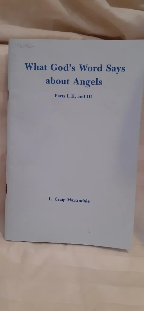What God's Word Says About Angels by L. Craig Martindale thumbnail