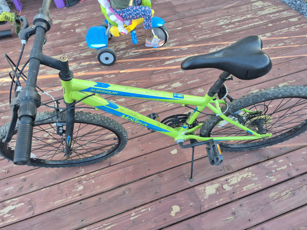 Mowelo Algonquin Bike - Green and Blue - photo 4