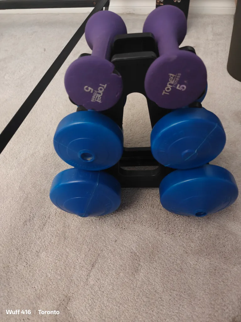 Miss matched Dumbells sets thumbnail