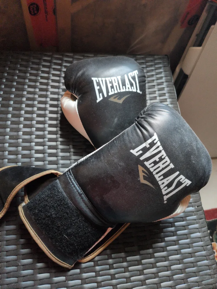 Everlast Boxing Gloves thumbnail
