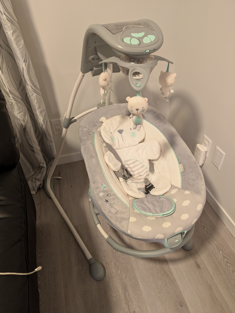 Ingenuity Baby Swing