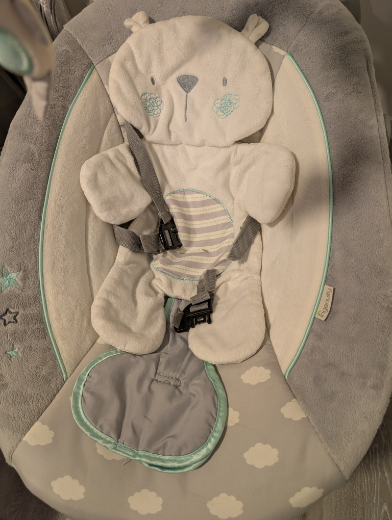Ingenuity Baby Swing - photo 2