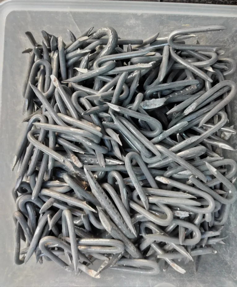 U-shaped Metal Nails thumbnail