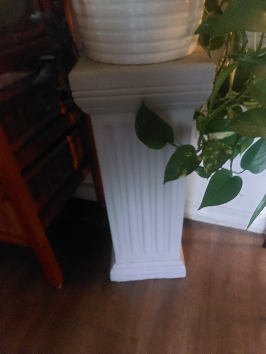 beautiful healthy plant and pedestal - photo 2