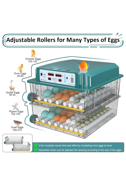 Timely Egg Lighting Incubator - photo 2