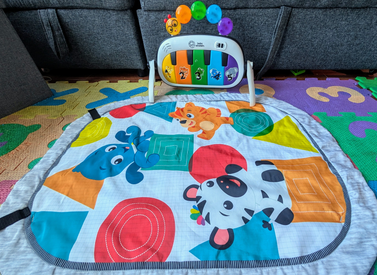 Baby Einstein Activity Gym - photo 2