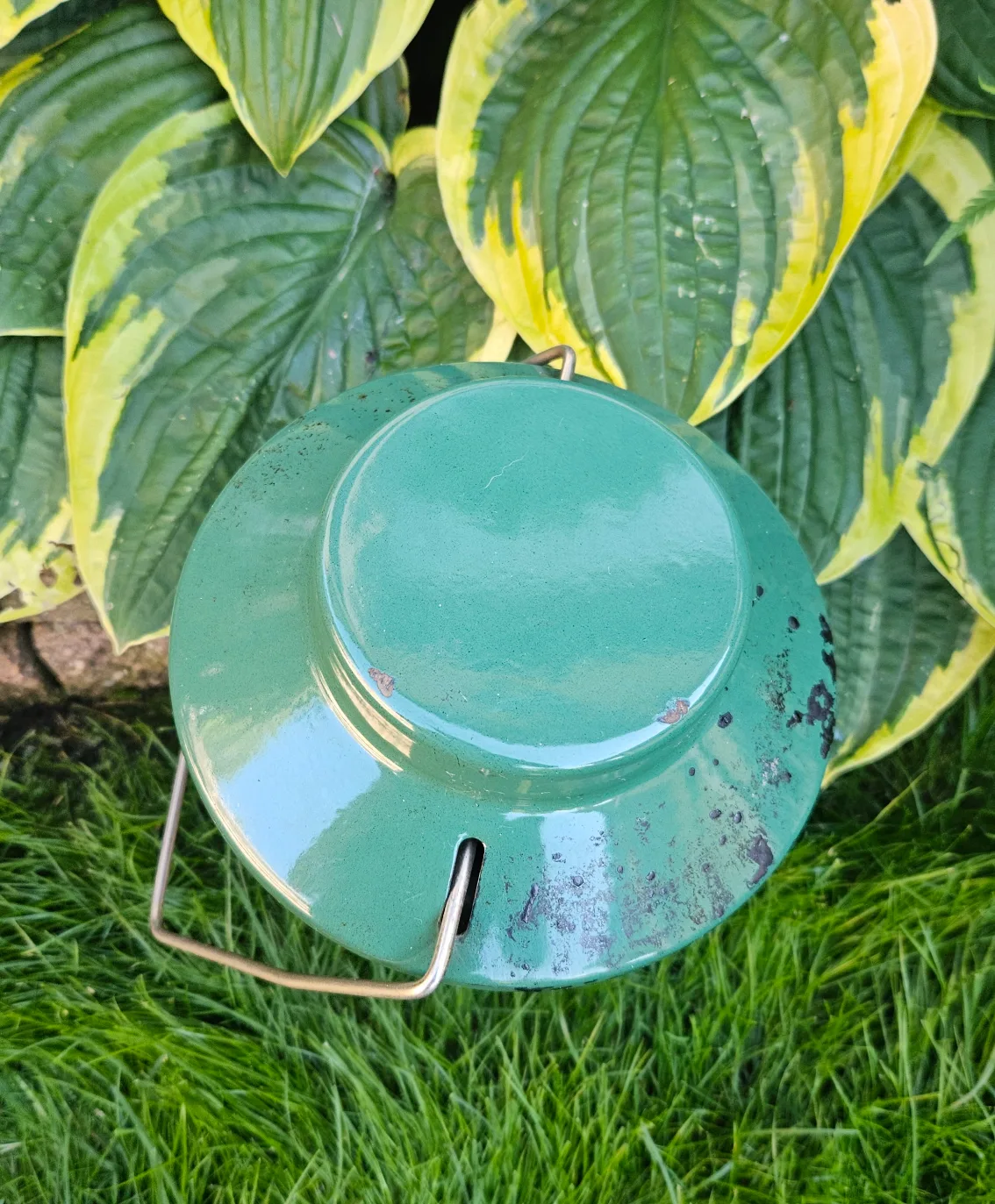 Coleman Propane Lantern image indicator(8)