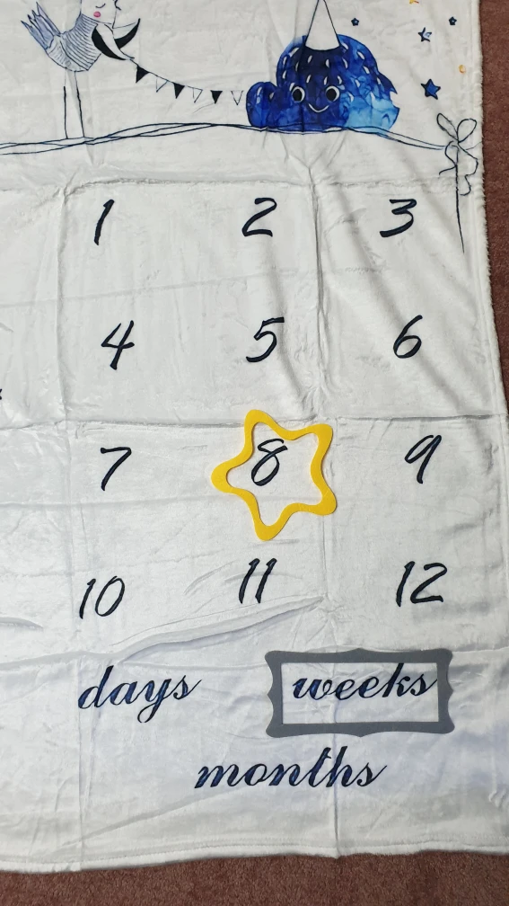 New, Baby Milestone Blanket - photo 2