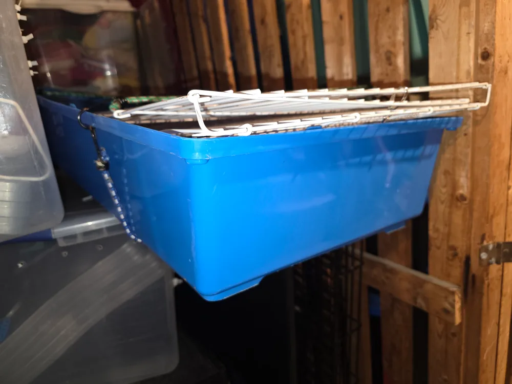 Guinea pig/rabbit cage image indicator(2)