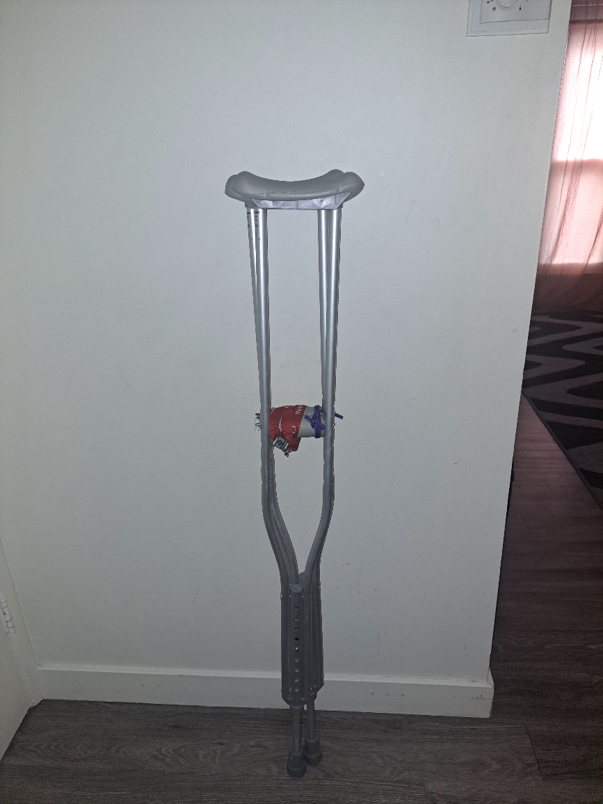 Guardian Crutches MDV580535