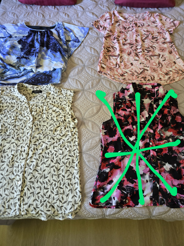 Assorted Women's Summer Blouses