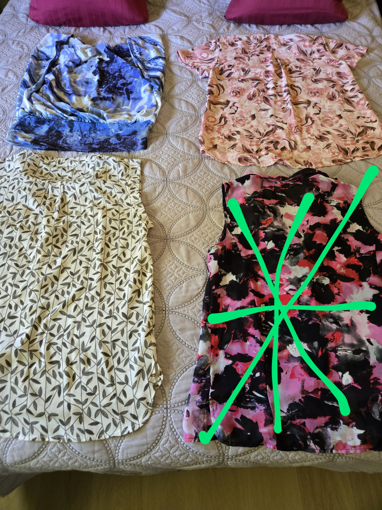 Assorted Women's Summer Blouses - photo 2