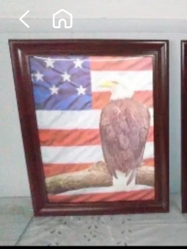 art print 3dUSA americana eagle  unframed thumbnail