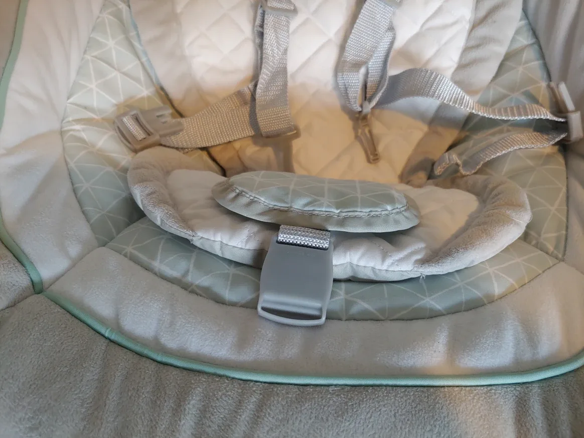 Graco Duet Glide Swing with portable rocker image indicator(8)