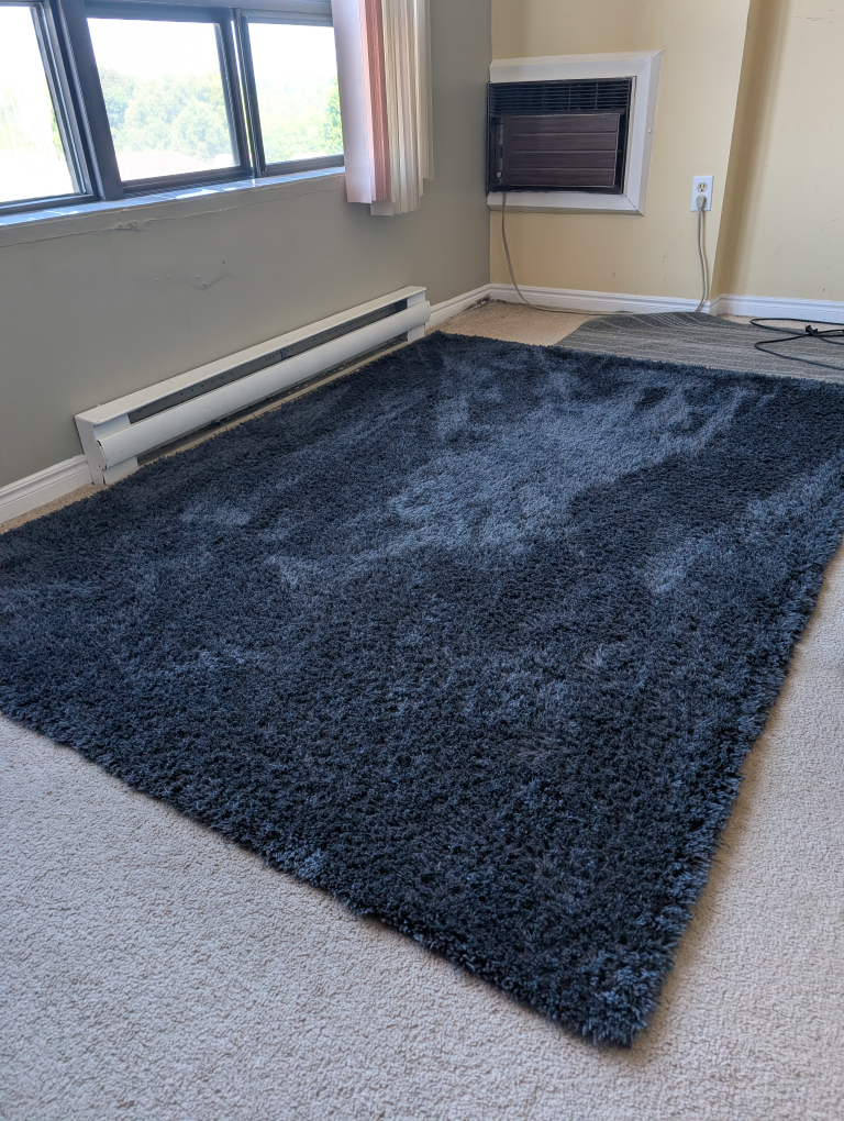 IN HOME Birk Shag Rug - 5x7