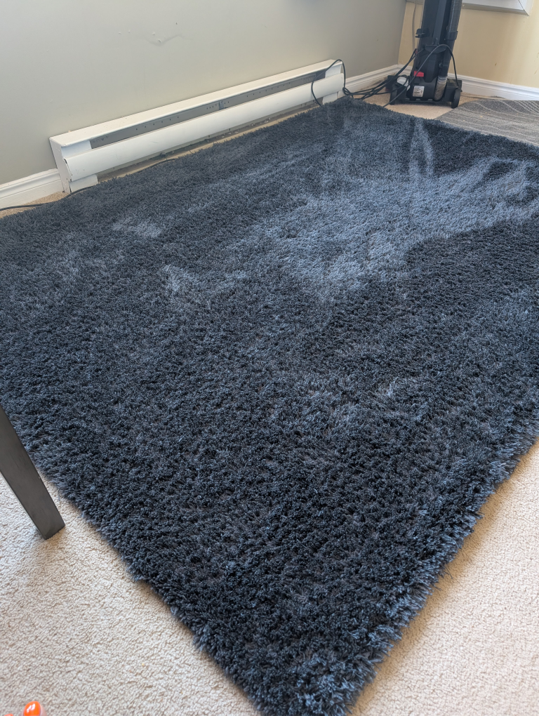 IN HOME Birk Shag Rug - 5x7 - photo 2
