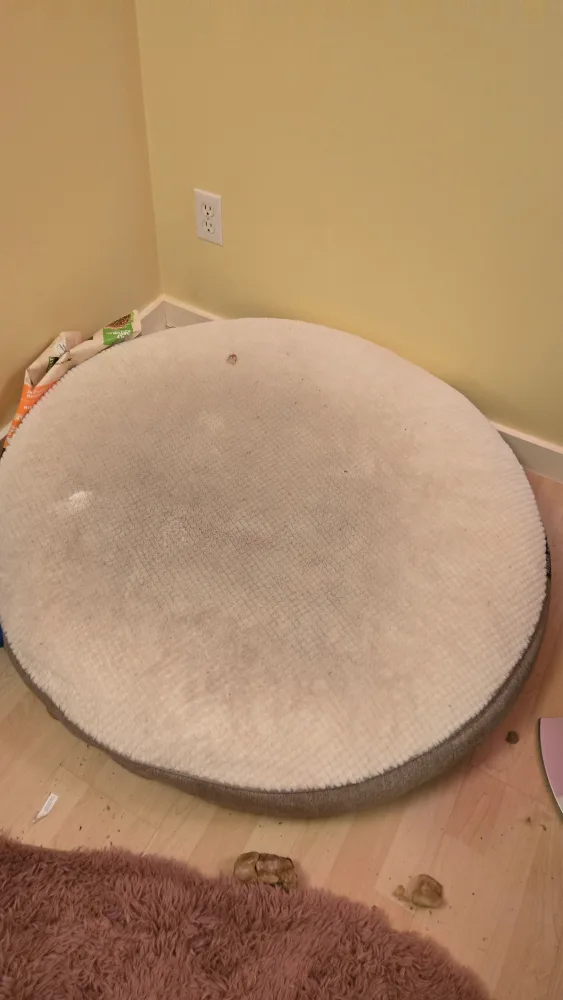 Round pet bed thumbnail