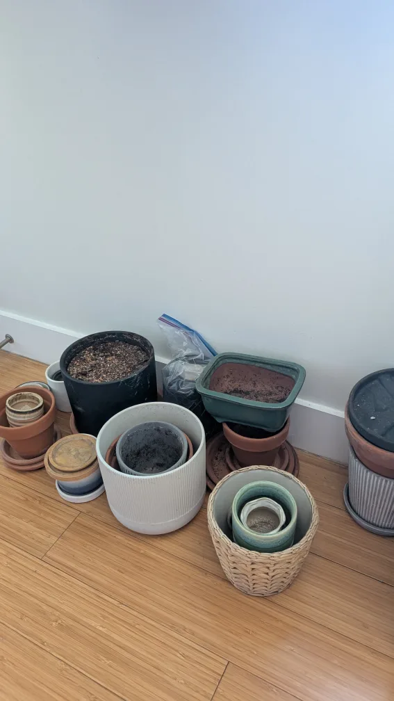 Assorted Plant Pots thumbnail
