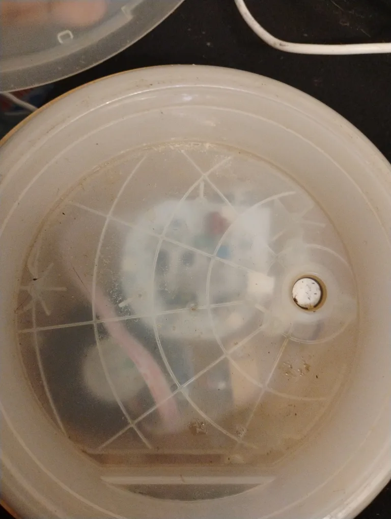 VicTsing Wood Grain Essential Oil Diffuser image indicator(3)