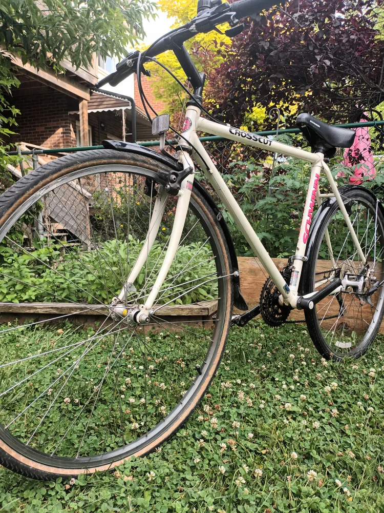 Schwinn Hybrid Bike thumbnail