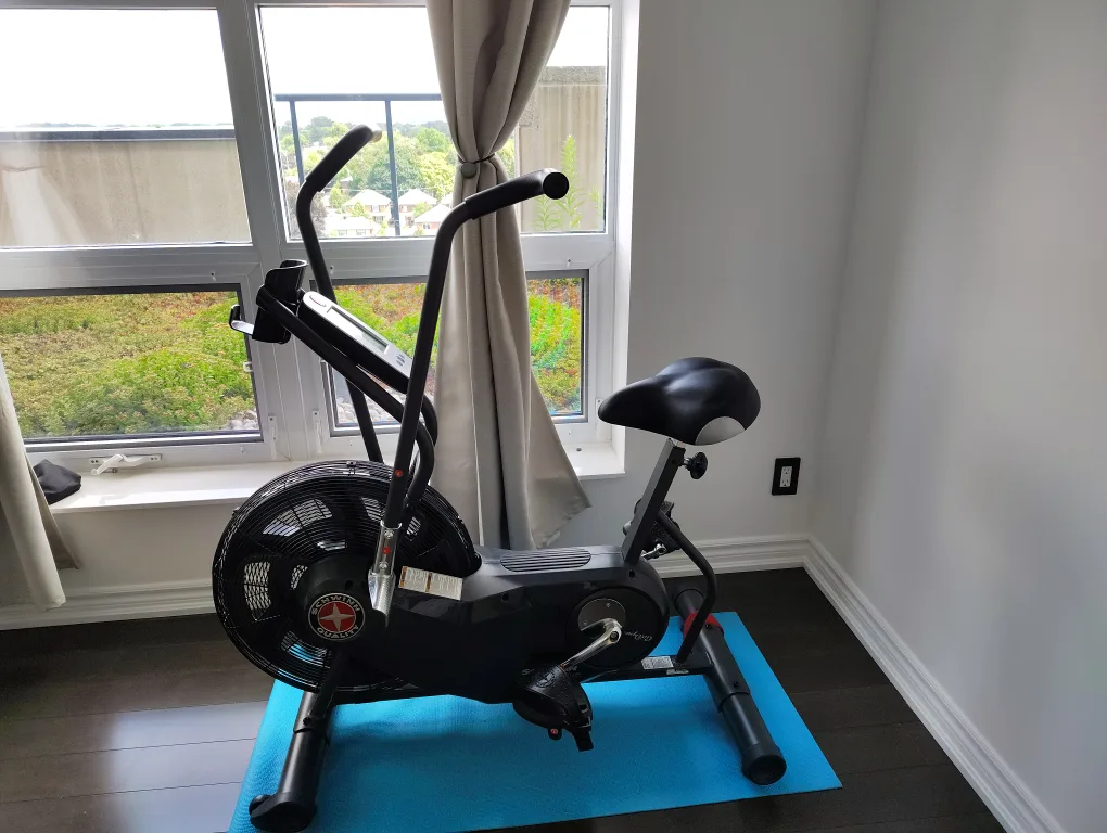 Schwinn Airdyne AD6 Exercise Bike thumbnail