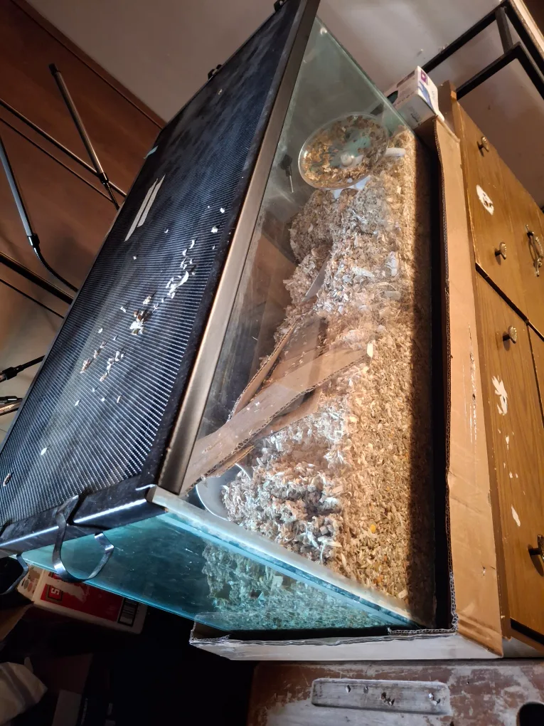 36" Aquarium/ Terrarium with lid thumbnail