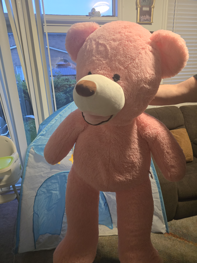 Giant Pink Teddy Bear