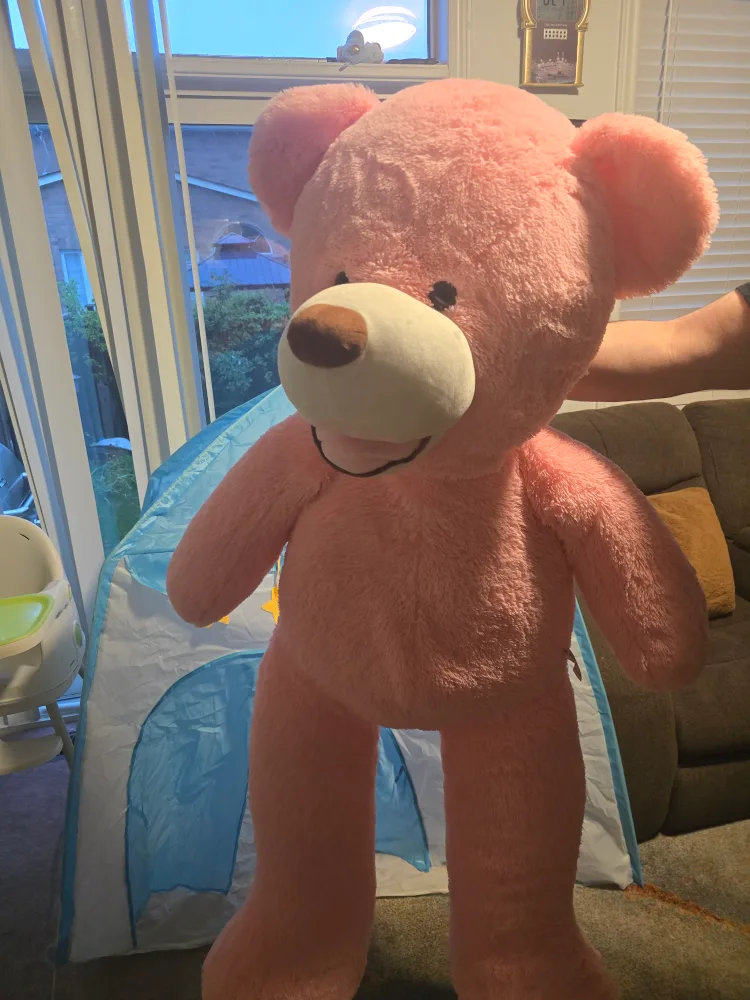 Giant Pink Teddy Bear