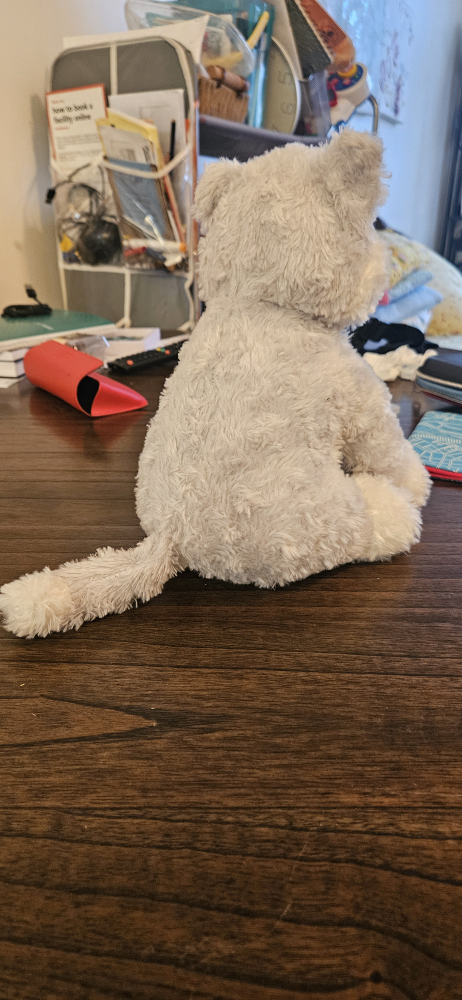 husky toy for kids - photo 2