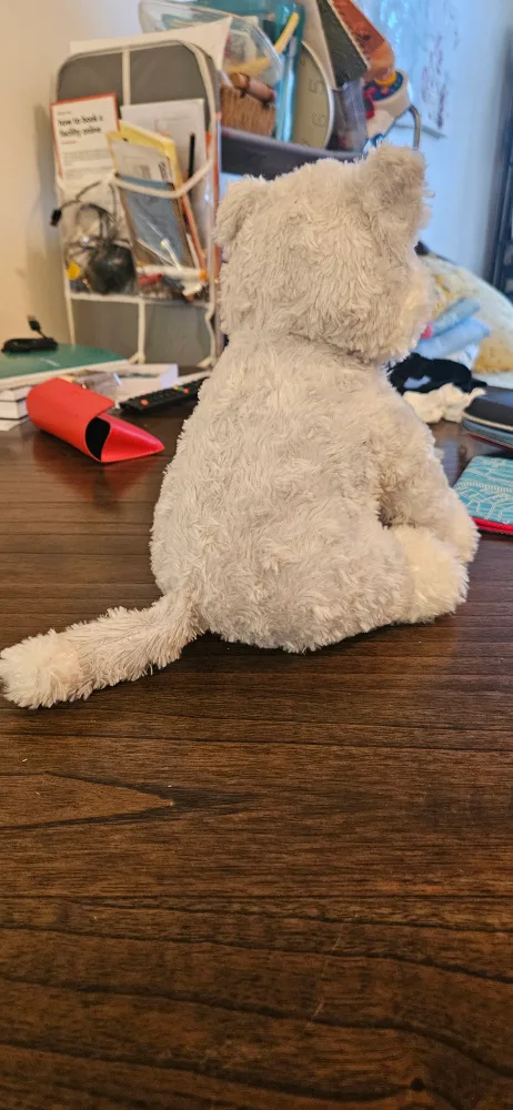 husky toy for kids image indicator(2)