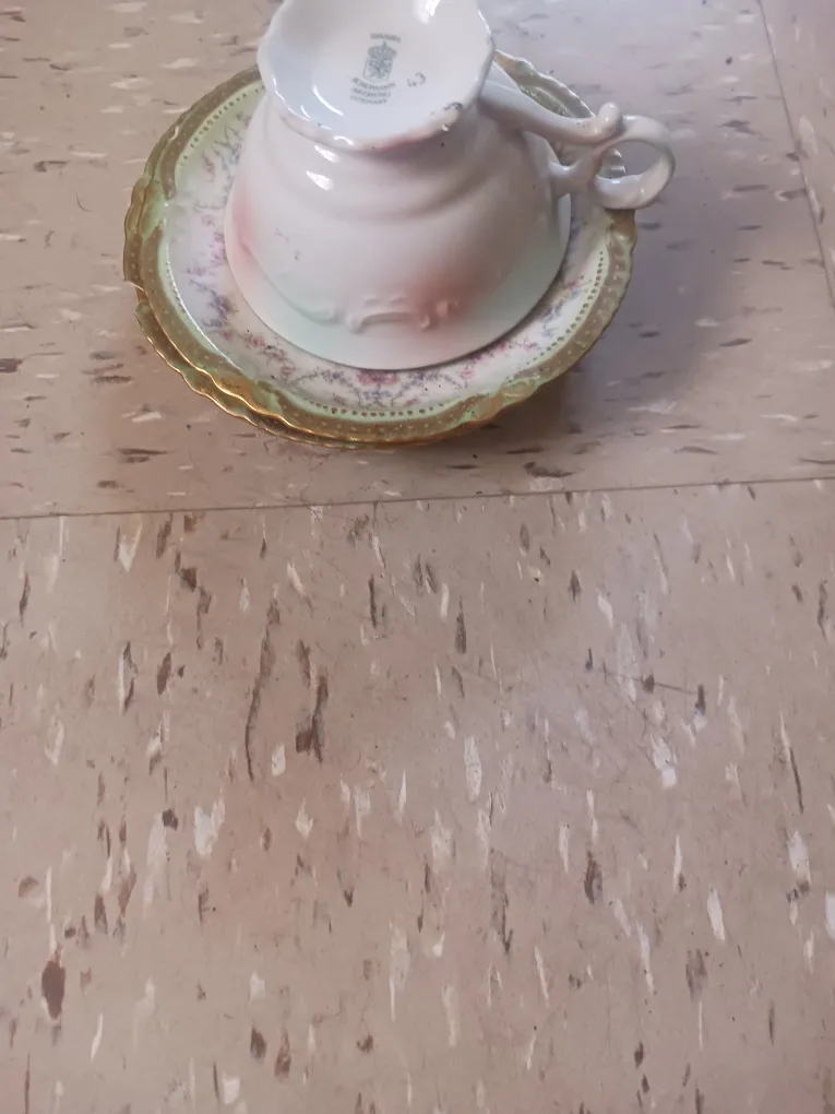 🥕🥕Schumann Arzberg Bavaria Tea Cup Saucer thumbnail