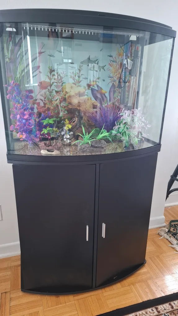 Fish tank with stand & accessories image indicator(8)
