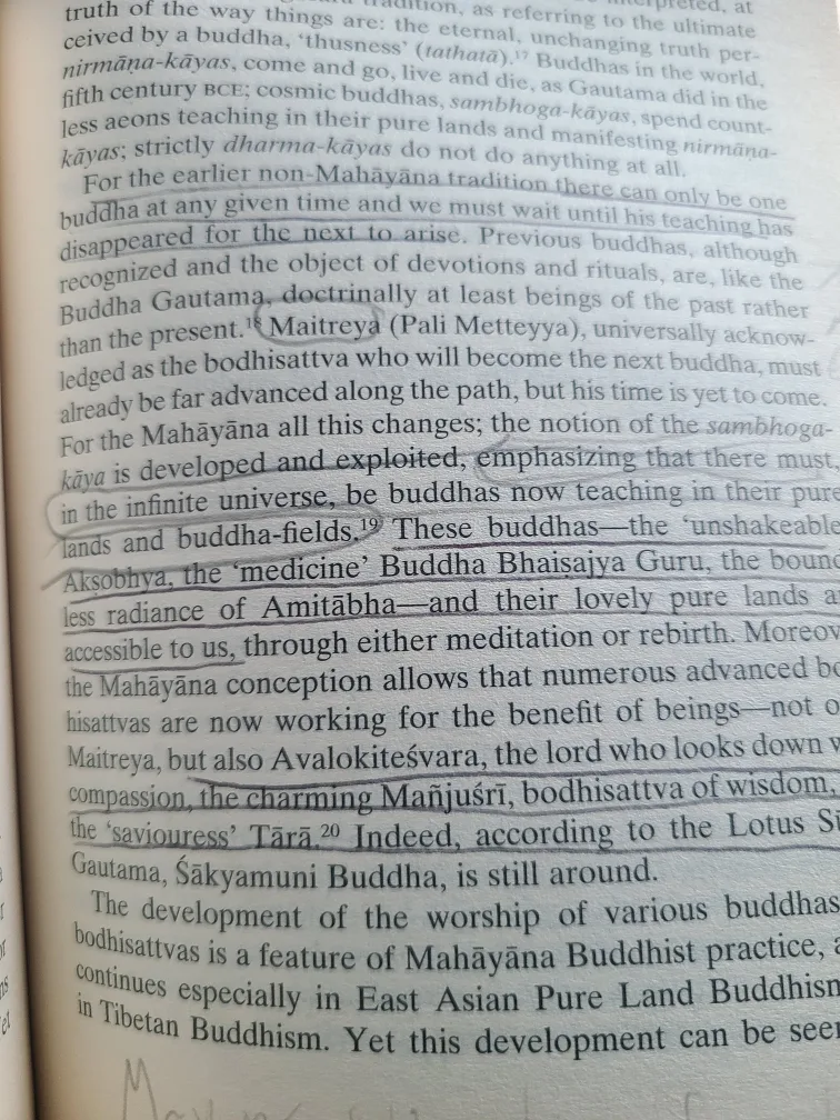 The Foundations of Buddhism by Rupert Gethin image indicator(5)