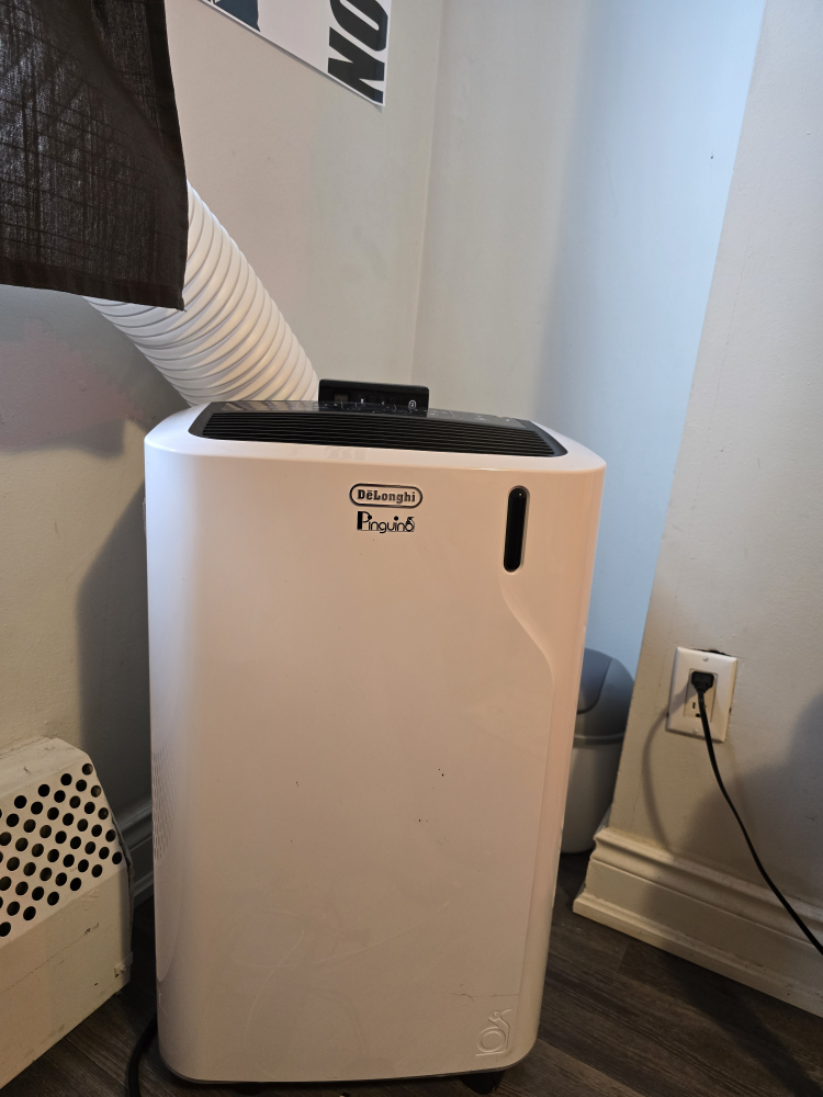 DeLonghi Pinguino Portable Air Conditioner