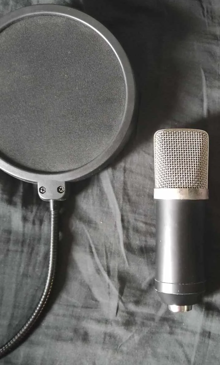 2 Studio Microphones & 1 Pop Filter/ Screen image indicator(4)