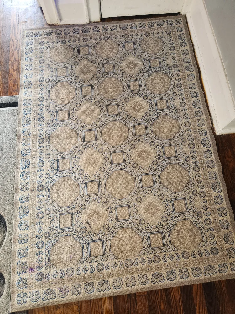 4 x 6 Rug (Read Description) thumbnail