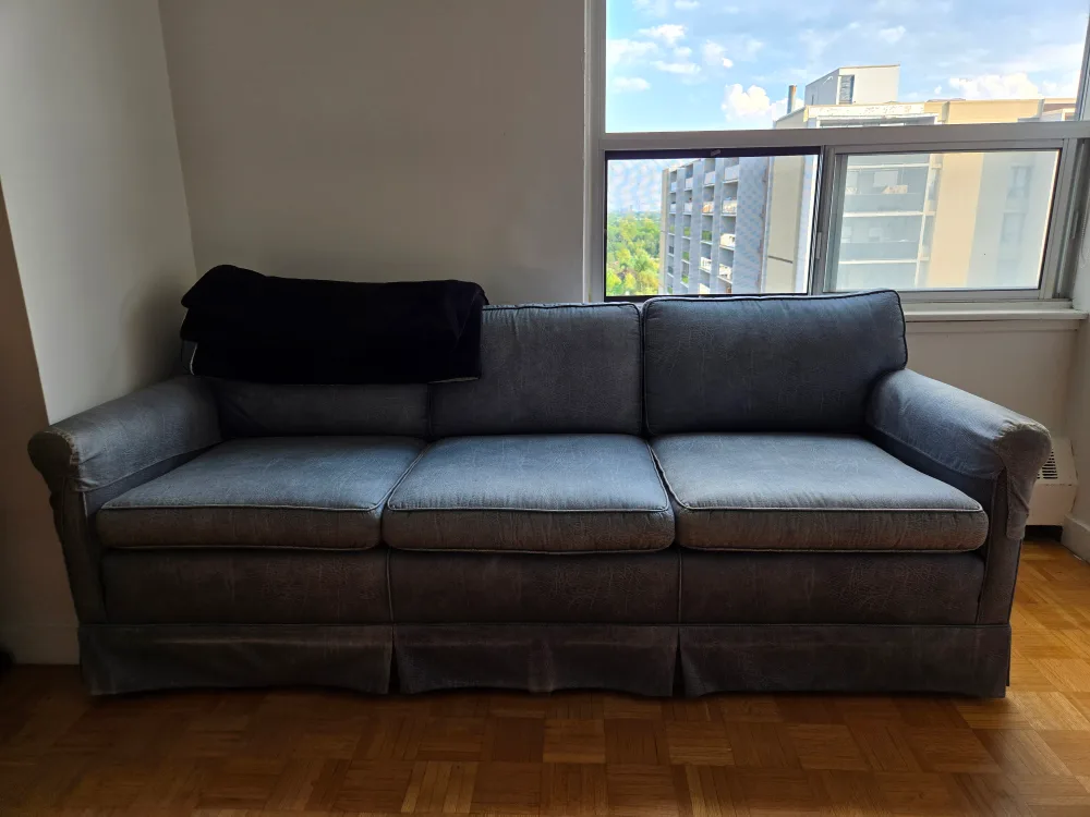 Blue Sofa thumbnail