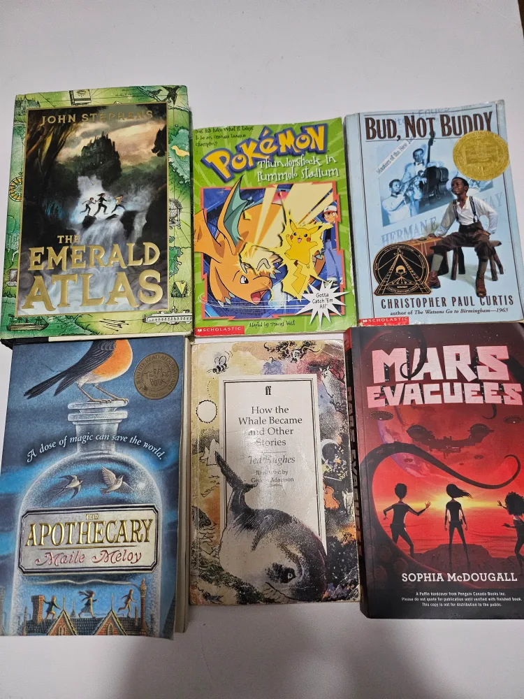 Kids' Books Bundle - Variety of Titles! 🇨🇦 thumbnail