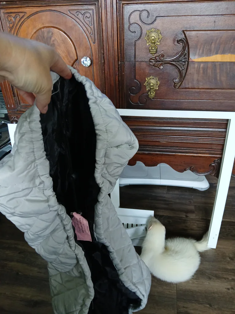 Arctic King 3 years old image indicator(4)