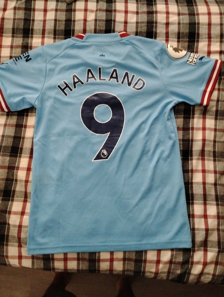 Puma Manchester City Haaland #9 Jersey - photo 2