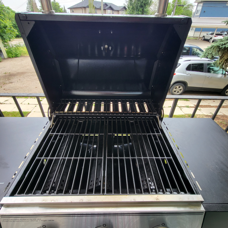 BBQ Grill - photo 5