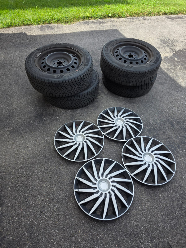Motomaster Winter Edge II Tires & Hubcaps - 205/55R16